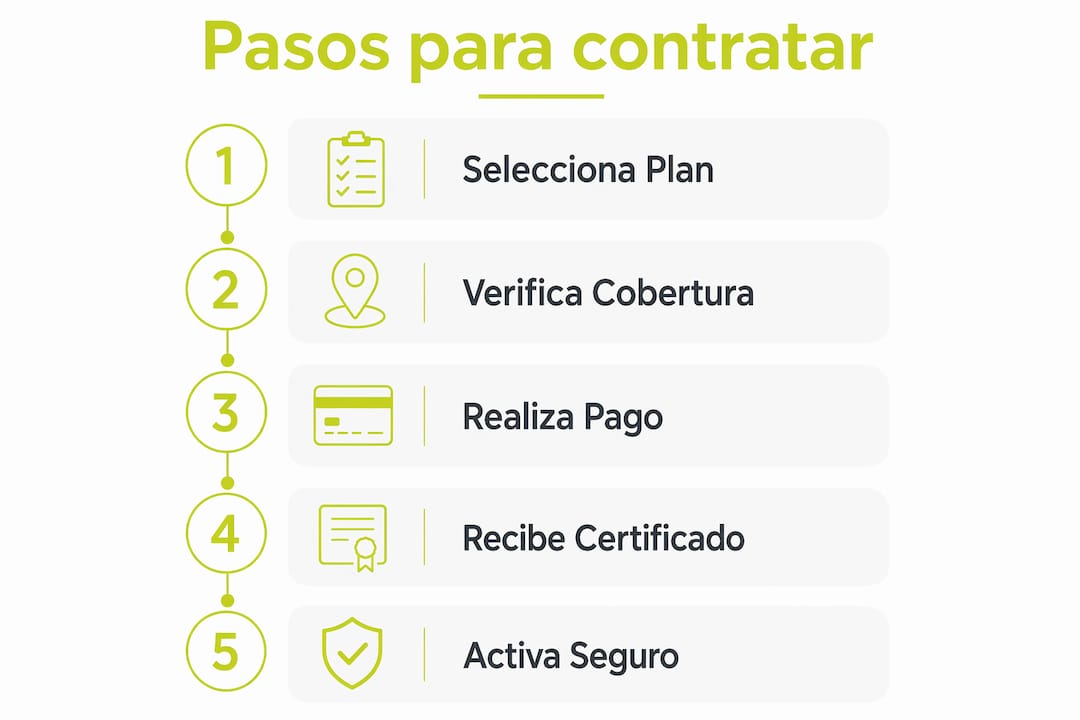 Infografía: ¿Cómo contratar un seguro de viaje internacional que cumpla con los requisitos para viajar a España?